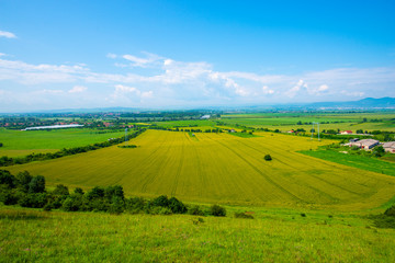 Traces on the wheat field