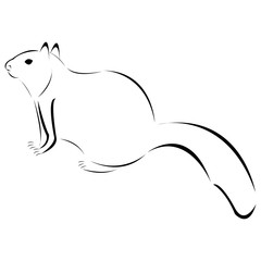 Stylized black and white squirrel vector illustration