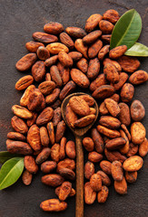 Raw cocoa beans