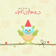 Merry Christmas celebration concept with cute love bird in santa cap.
