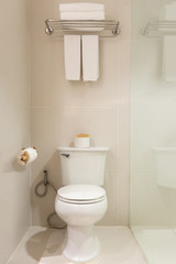 Fototapeta na wymiar Toilet bowl in modern bathroom interior 