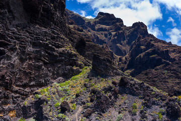 Cliffs ot the Giants, Tenerife island, Canary islands, Spain, Europe