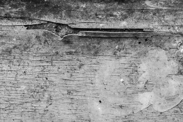 Texture, wood, wall, it can be used as a background. Wooden texture with scratches and cracks
