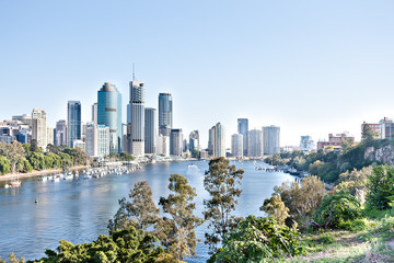 Brisbane City building with river around trees at sunny day