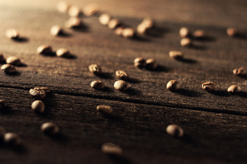 coffee fried beans, on an old wooden background