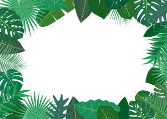 Fototapeta na wymiar Vector illustration of frame made of green tropical leaves on white background