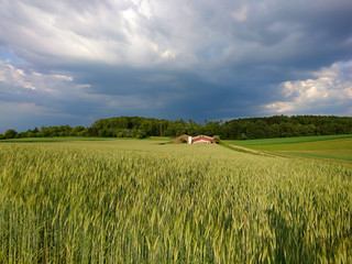 Feld mit dunklen Regenwolken