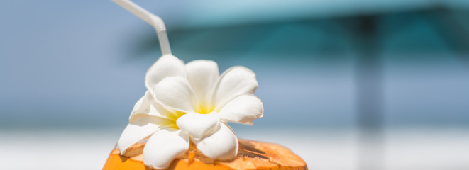 Fresh young orange coconut with a tube for drinks and Plumeria flowers in a tropical resort near the ocean