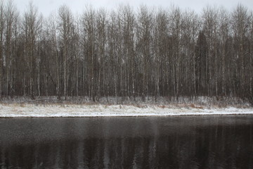  Gray row of trees on a frozen river