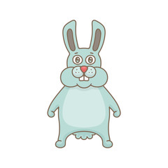 Rabbit. isolated on white background