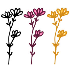 vector image of a flower isolated on white background