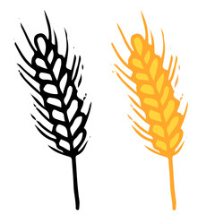 vector image of a wheat spikelet isolated on white background