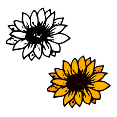 Fototapeta premium sunflower vector image isolated on white background