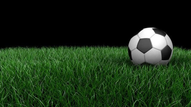 3D animation, classic soccer ball rolling across a green field.