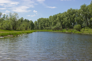 the Bay of the river in sunlight