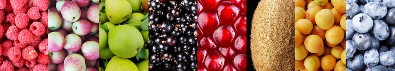 different fruits place for text