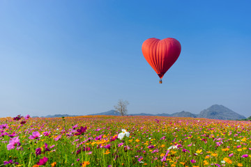 Red hot air balloon in the shape of a heart over cosmos flower field
