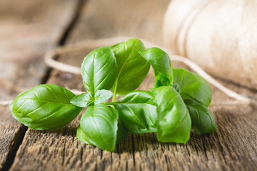 Fresh basil on wooden table