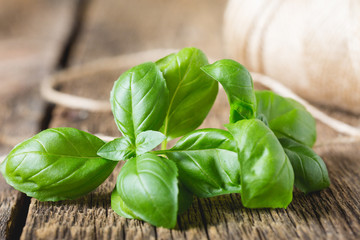 Fresh basil on wooden table