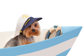The dog in the captain's cap sits in the boat. Isolated on white background.