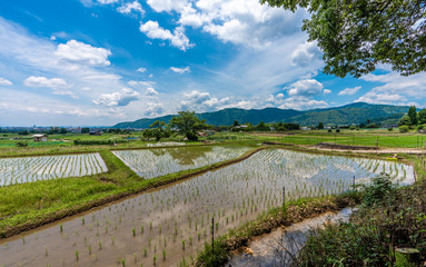 京都・嵯峨野　田園風景