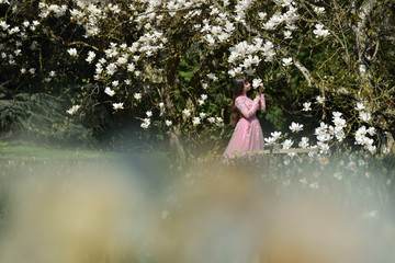 A young girl in a lush pink fashion dress next to a large and blooming magnolia tree. Beautiful girl and tree with white magnolia flowers