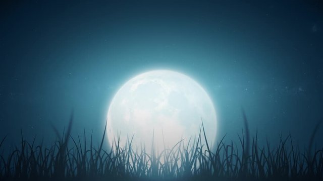 Grass Leaves On Beautiful Night Sky Loop/ 4k animation of a loopable beautiful nature background with blades of grass moving with the wind on night sky with moon and stars