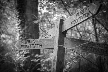Sign Post