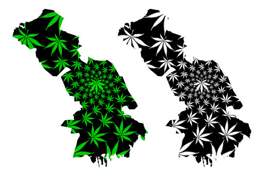 Astrakhan Oblast (Russia, Subjects Of The Russian Federation, Oblasts Of Russia) Map Is Designed Cannabis Leaf Green And Black, Astrakhan Oblast Map Made Of Marijuana (marihuana,THC) Foliage,....