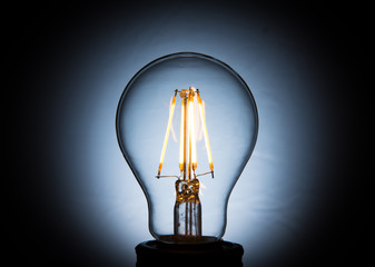 Light Bulb Clear
