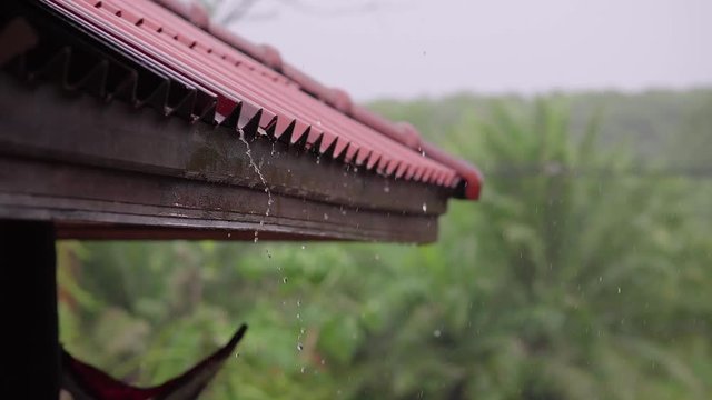 Weather Rain 