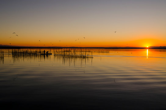  Parque natural de la Albufera en Valencia (Espa&ntilde;a)