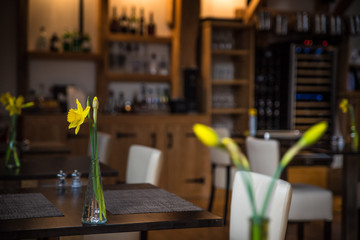 Daffs on Table