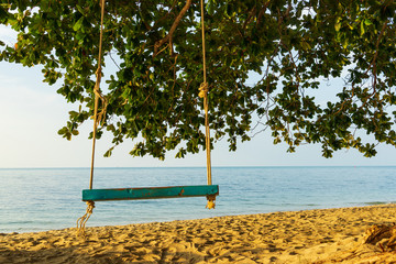 swing hang on the tree at th beach Koh samui Thailand