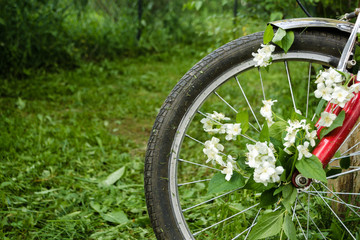 Beautiful white flowers of jasmine in the wheel of a red old bicycle against the background of green trees, mown grass and hemp. Creative romantic vintage concept. Place for text