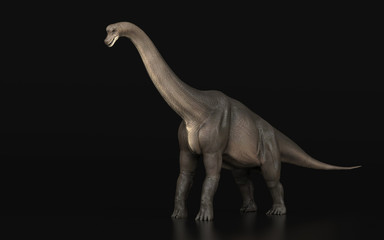 Dinosaur Brachiosaurus standing black background 3d render