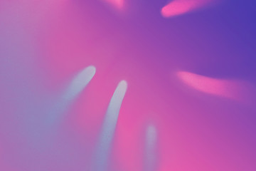 Top view of green tropical monstera leaf shadow in trendy duotone neon background. Flat lay. Minimal summer concept with palm tree leaf. Abstract creative backdrop, modern design. Copy space. Blurred.