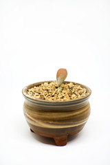 Fleshy plant on white background.