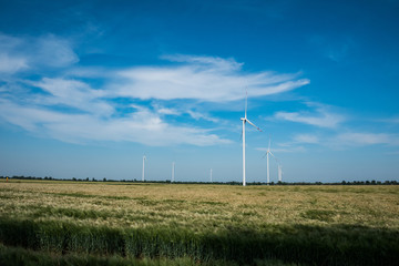 Fototapeta na wymiar windmills for electric power production in the wheat fields against blue sky 