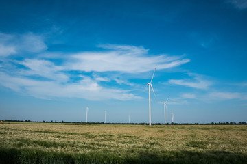 windmills for electric power production in the wheat fields against blue sky	
