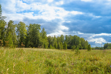 Fototapeta premium Russian nature landscape - green grass field, green forest and blue sky with clouds