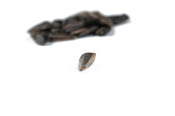 Sunflower seeds isolated on white background.Copy space