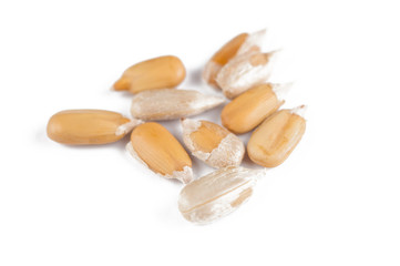 Peeled sunflower seeds isolated on white background.Copy space