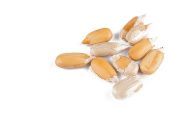 Peeled sunflower seeds isolated on white background.Copy space