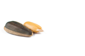 Sunflower seeds isolated on white background.Copy space