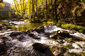 Rio Genil en su paso por Maitena, Guejar Sierra, Granada (España)