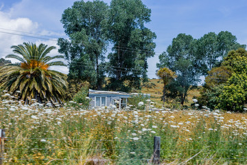 Fototapeta na wymiar House in the countryside on a sunny day