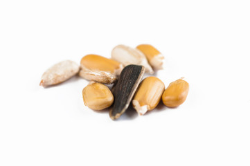 Sunflower seeds isolated on white background.Copy space