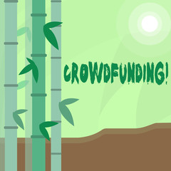 Conceptual hand writing showing Crowdfunding. Business photo text Funding a project by raising money from large number of showing Colorful Set of Leafy Bamboo and Moon or Sun with Round Beam.