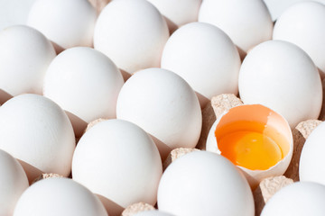 Fresh eggs isolated. White eggs in tray